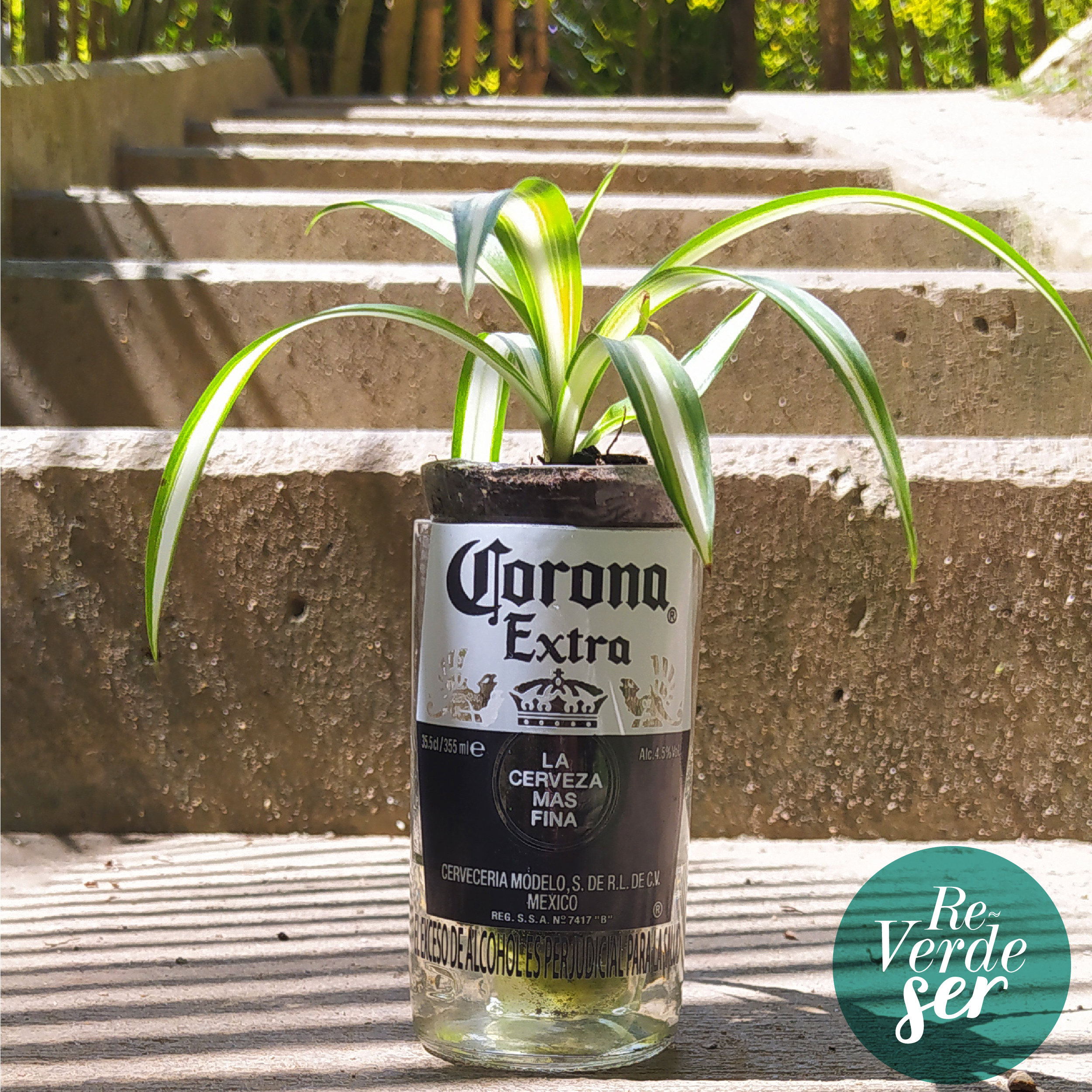 producto-7 producto-7