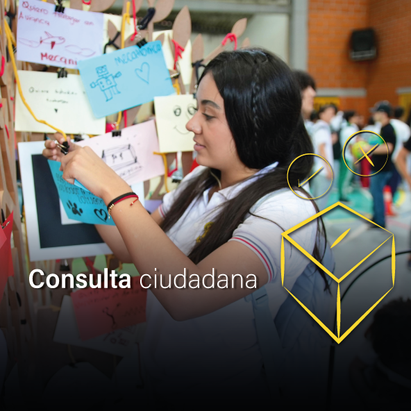 consulta-ciudadana