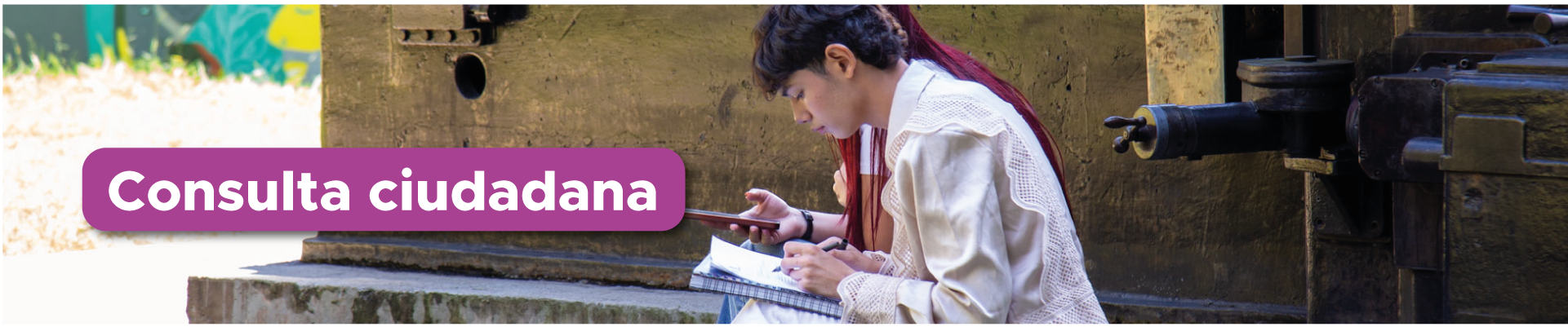 Consulta ciudadana